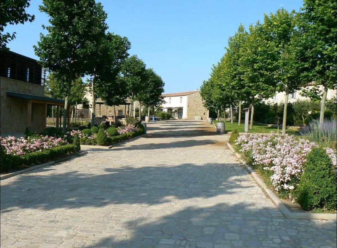 Pretty House Center Of Corbieres Apartment *